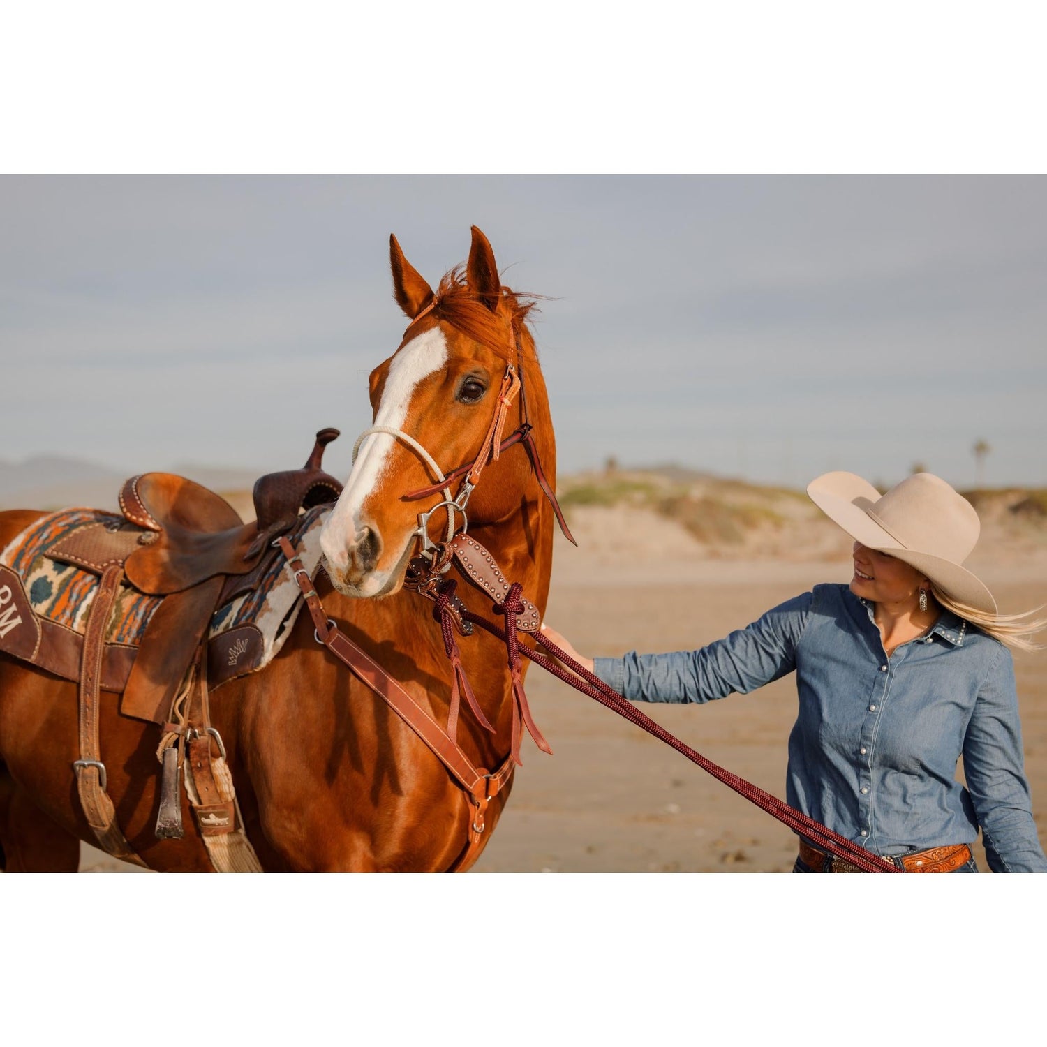 How to Desensitize and De-Spook a Horse