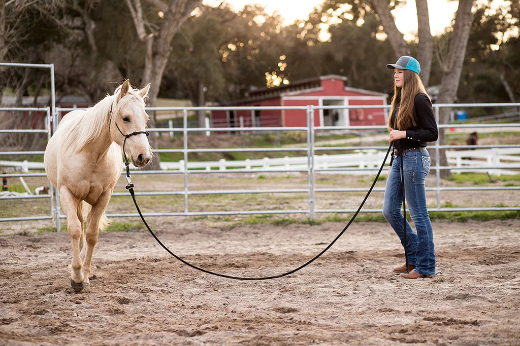 Teaching Your Horse to Yield the Forequarters from the Ground