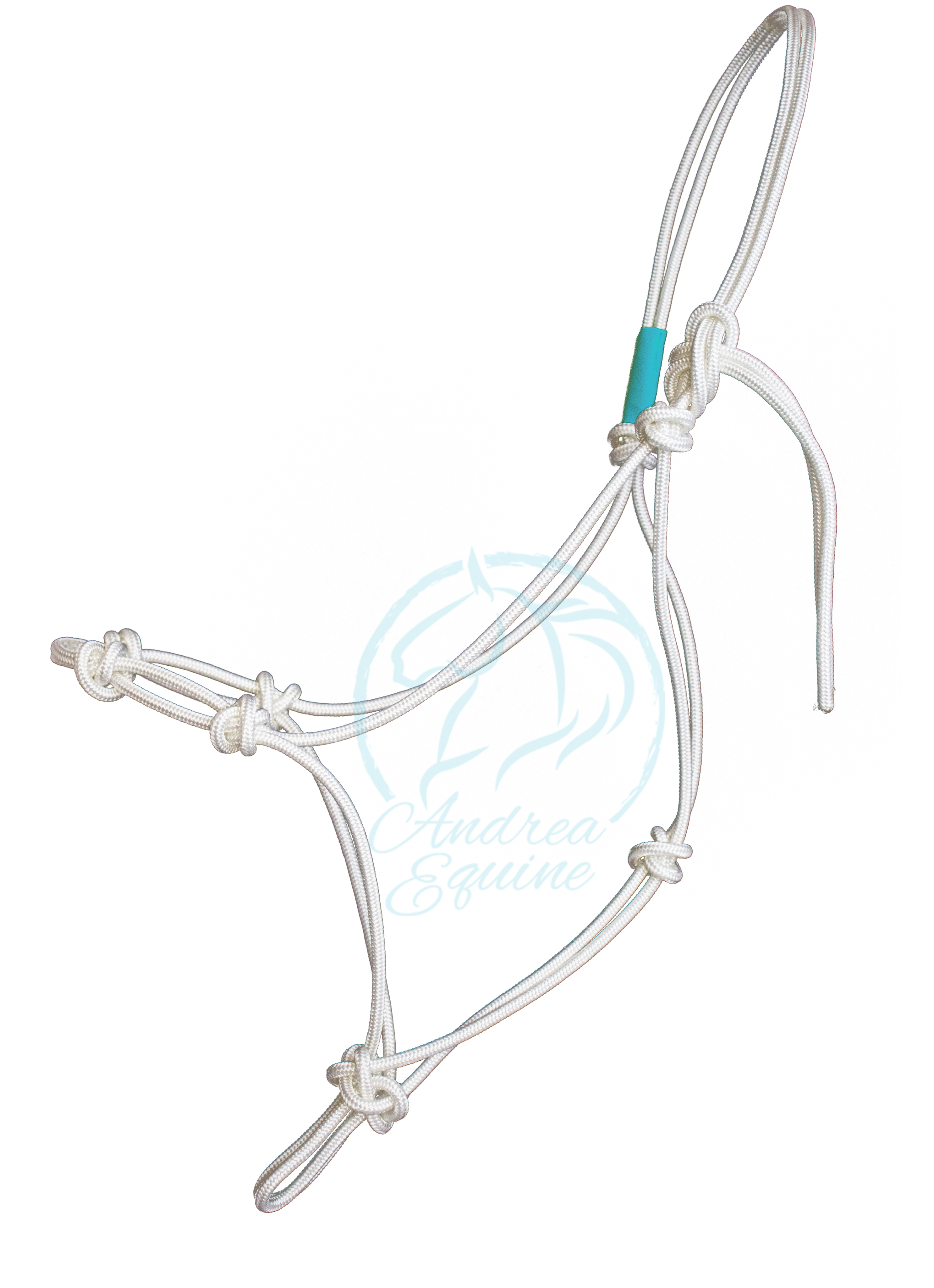 Stiff 4-Knot Clinician Training Halter - Andrea Equine