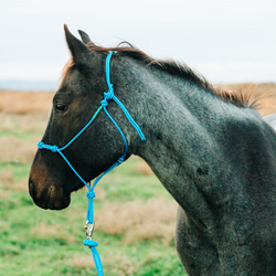 Stiff 4-Knot Clinician Training Halter - Andrea Equine