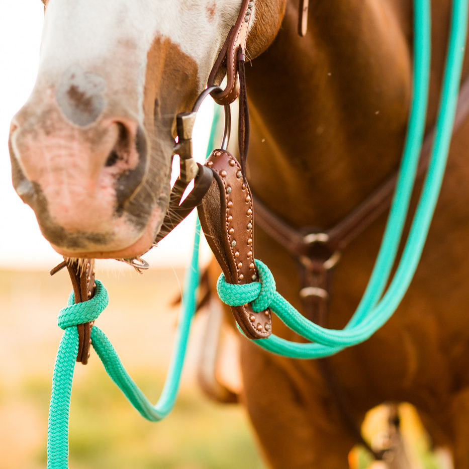 22 Ft Clinician Mecate Reins - Andrea Equine