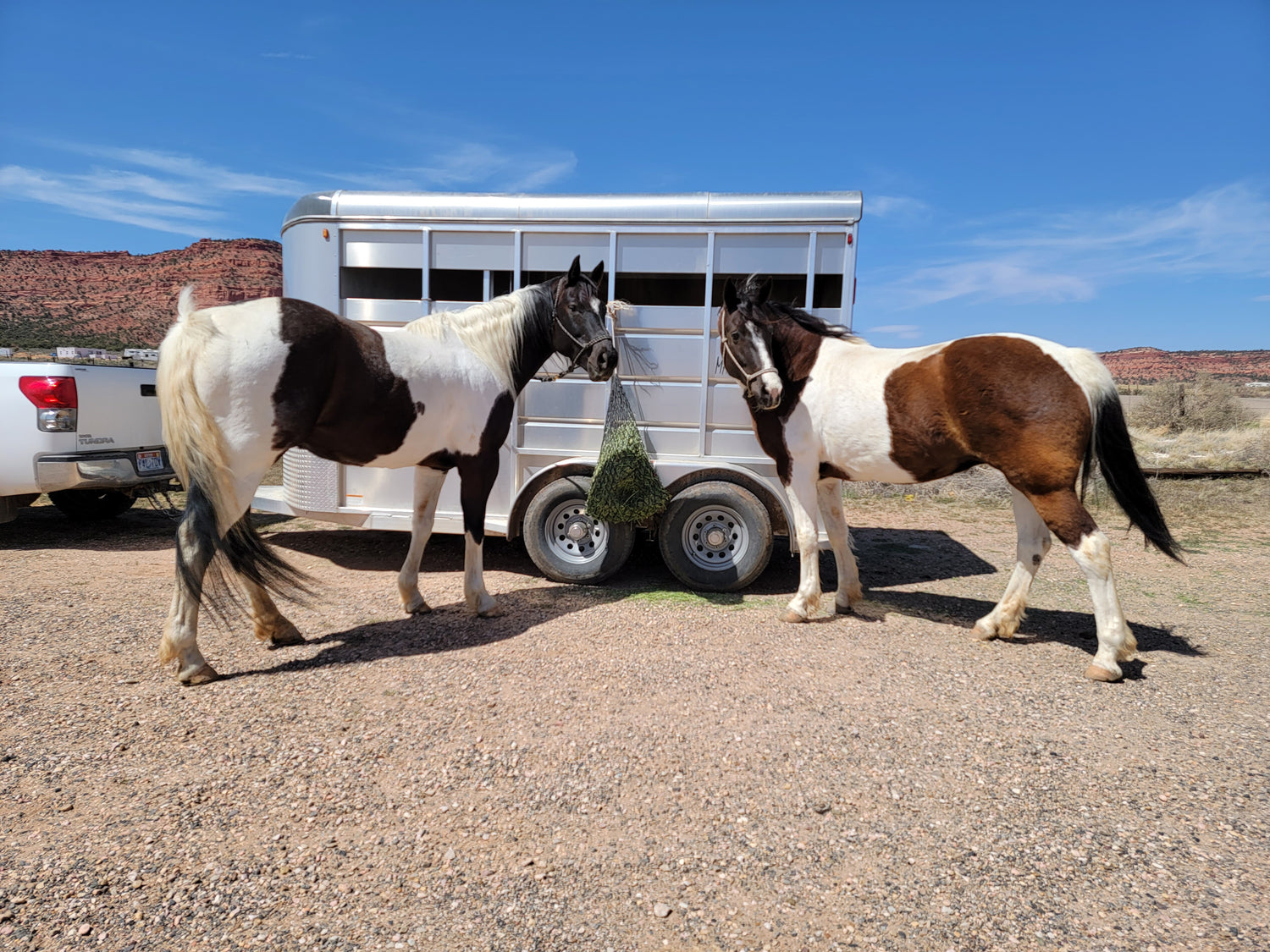 How I Keep My Horses Safe When Traveling