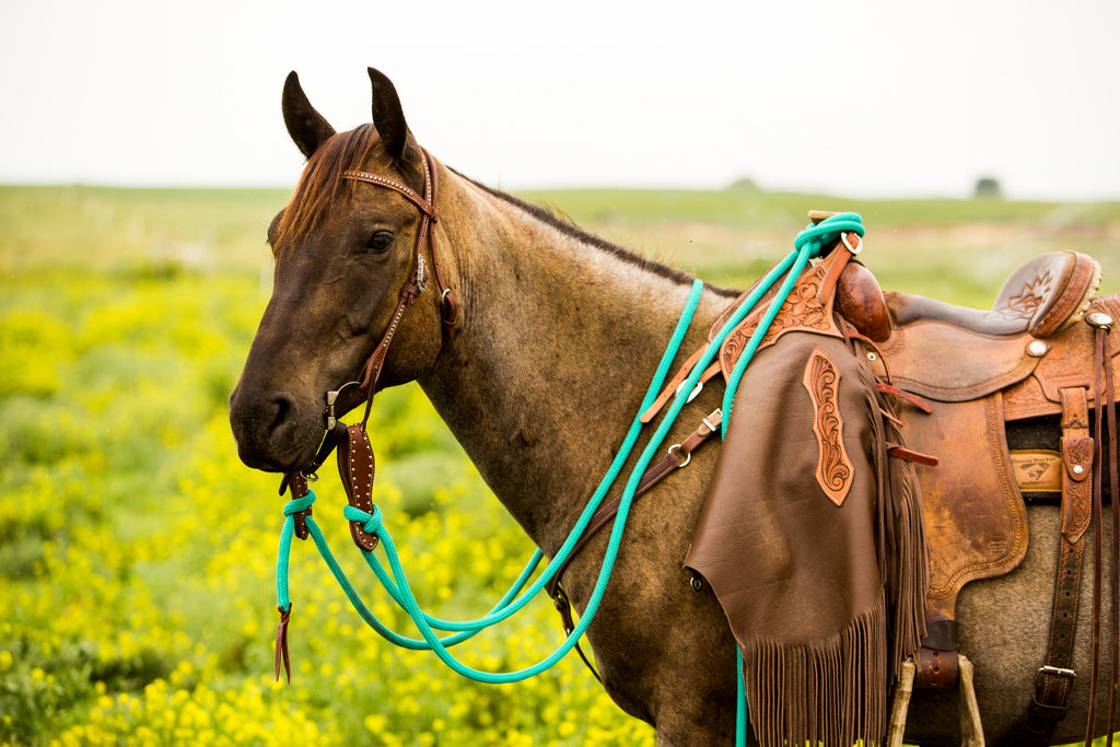 Loop vs Mecate Reins - Clinician Tack 101