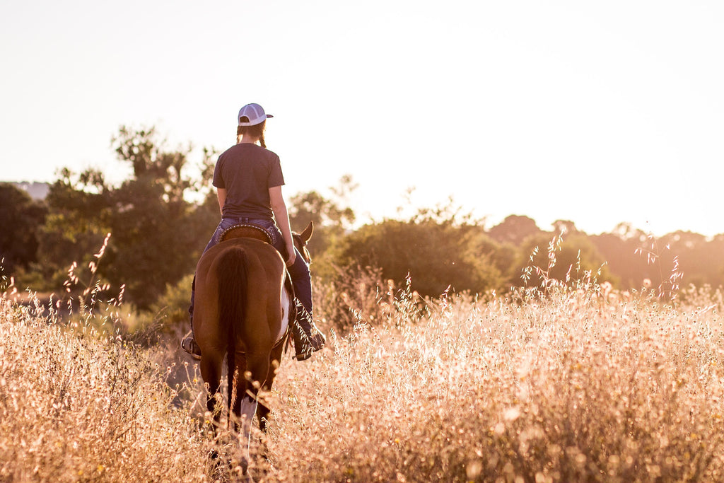 Horse Problem-Won't Move In The Roundpen