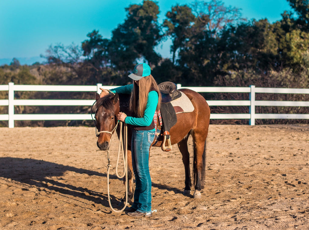 Haltering Your Horse for Respect & Trust