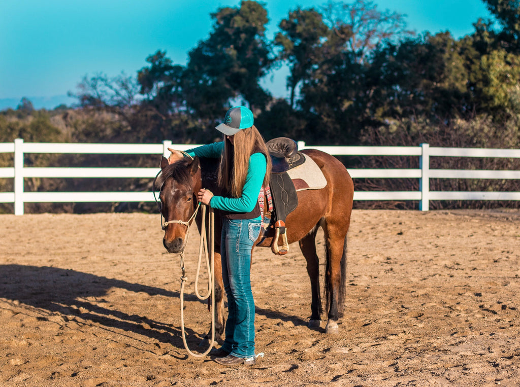 How to Halter Your Horse for Respect & Trust