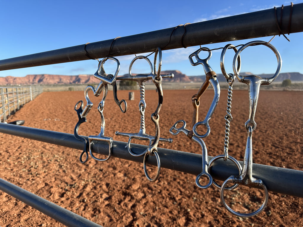 Quality Western Snaffle Bits- Dee ring sweet iron with copper inlay Andrea Equine