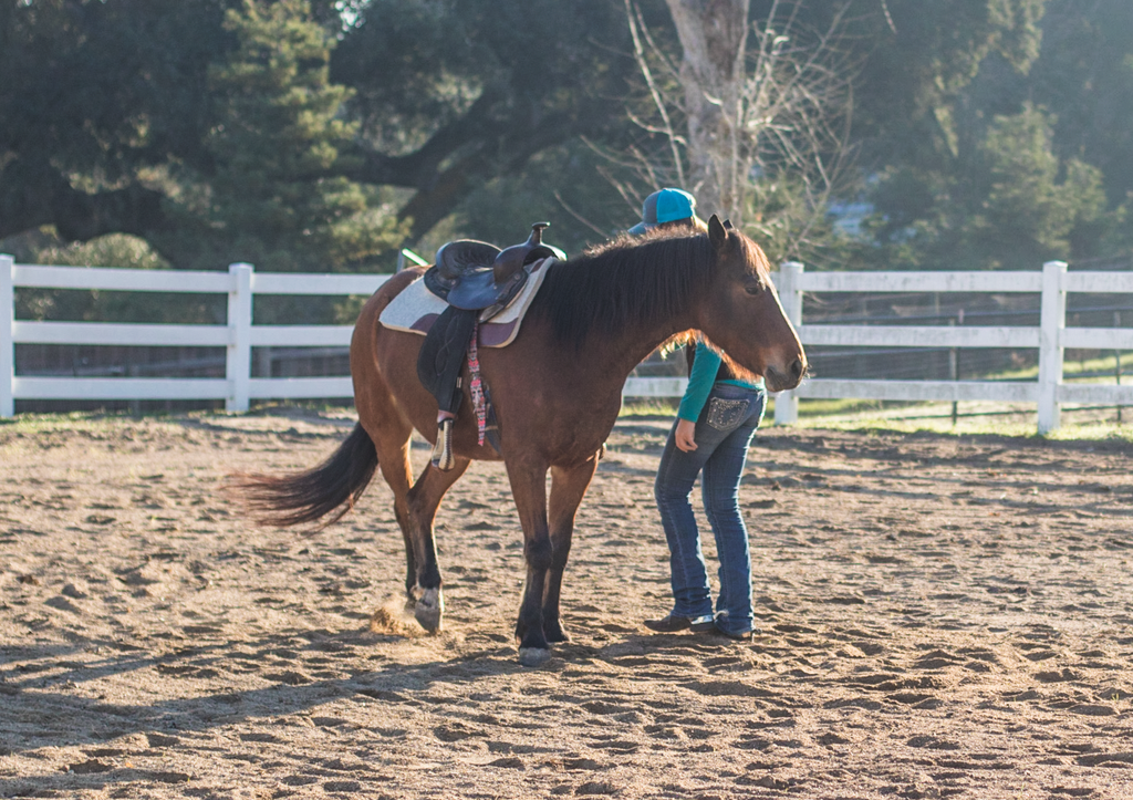 How to Disengage Your Horse's Hindquarters - Andrea Cao