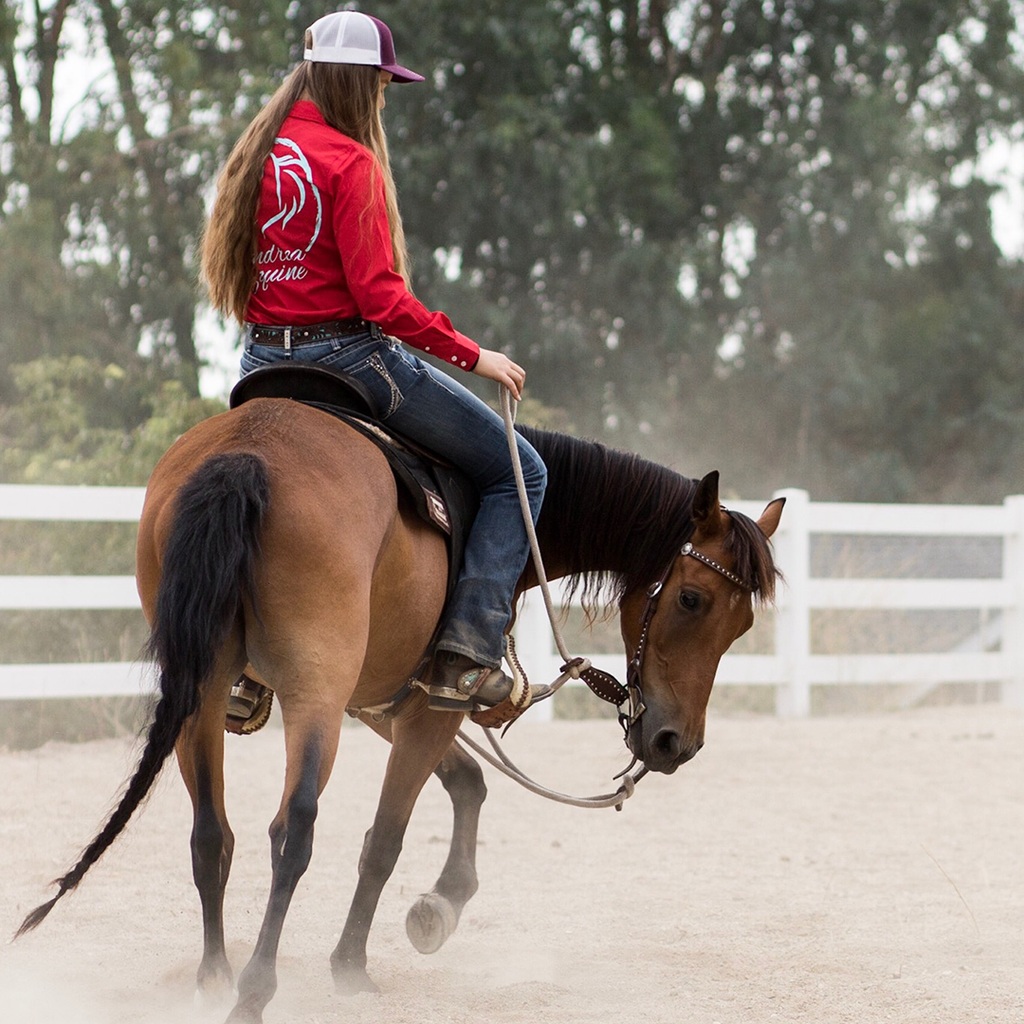 Your Horse's 3 Buttons-Foundation Training Under Saddle
