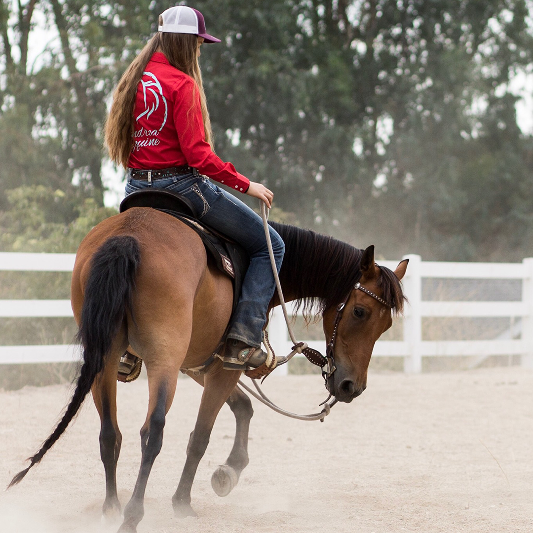 Your Horse's 3 Buttons-Foundation Training Under Saddle– Andrea Equine