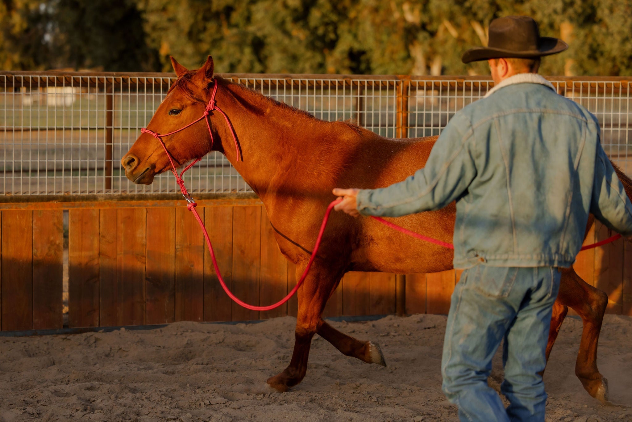 Rider carrying a coiled rope, mounted.