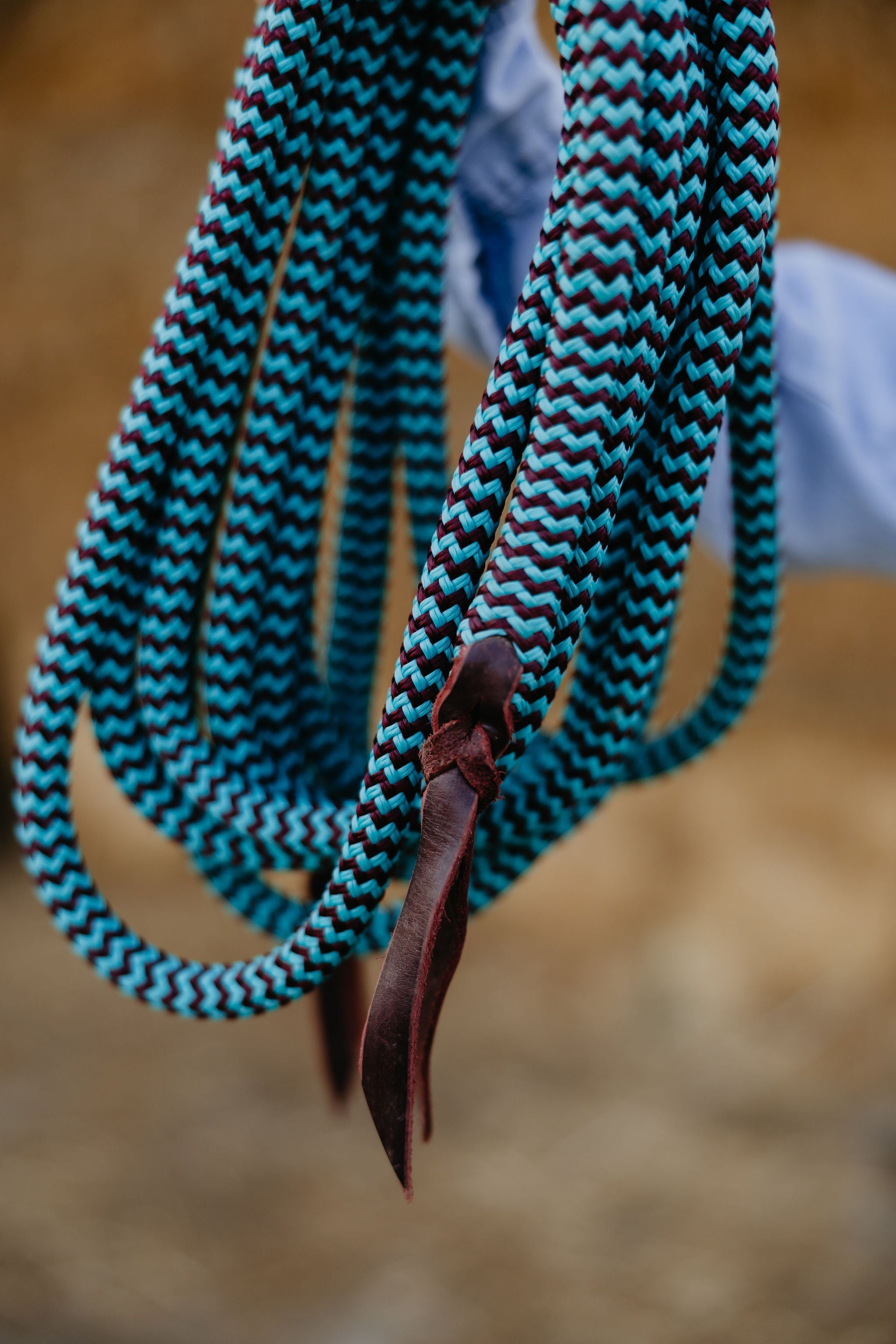 Reins