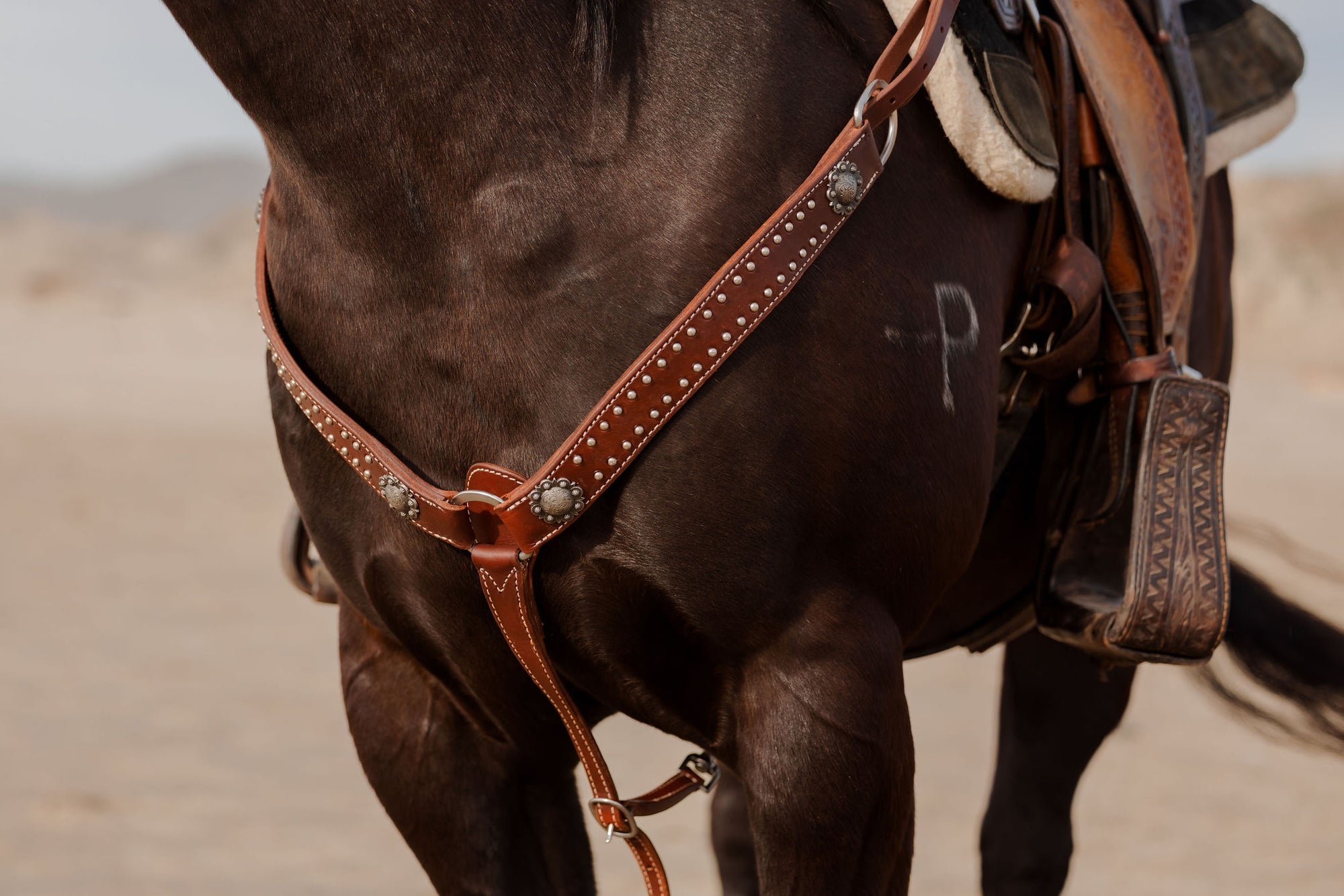 California Dotted Chocolate Harness Breast Collar