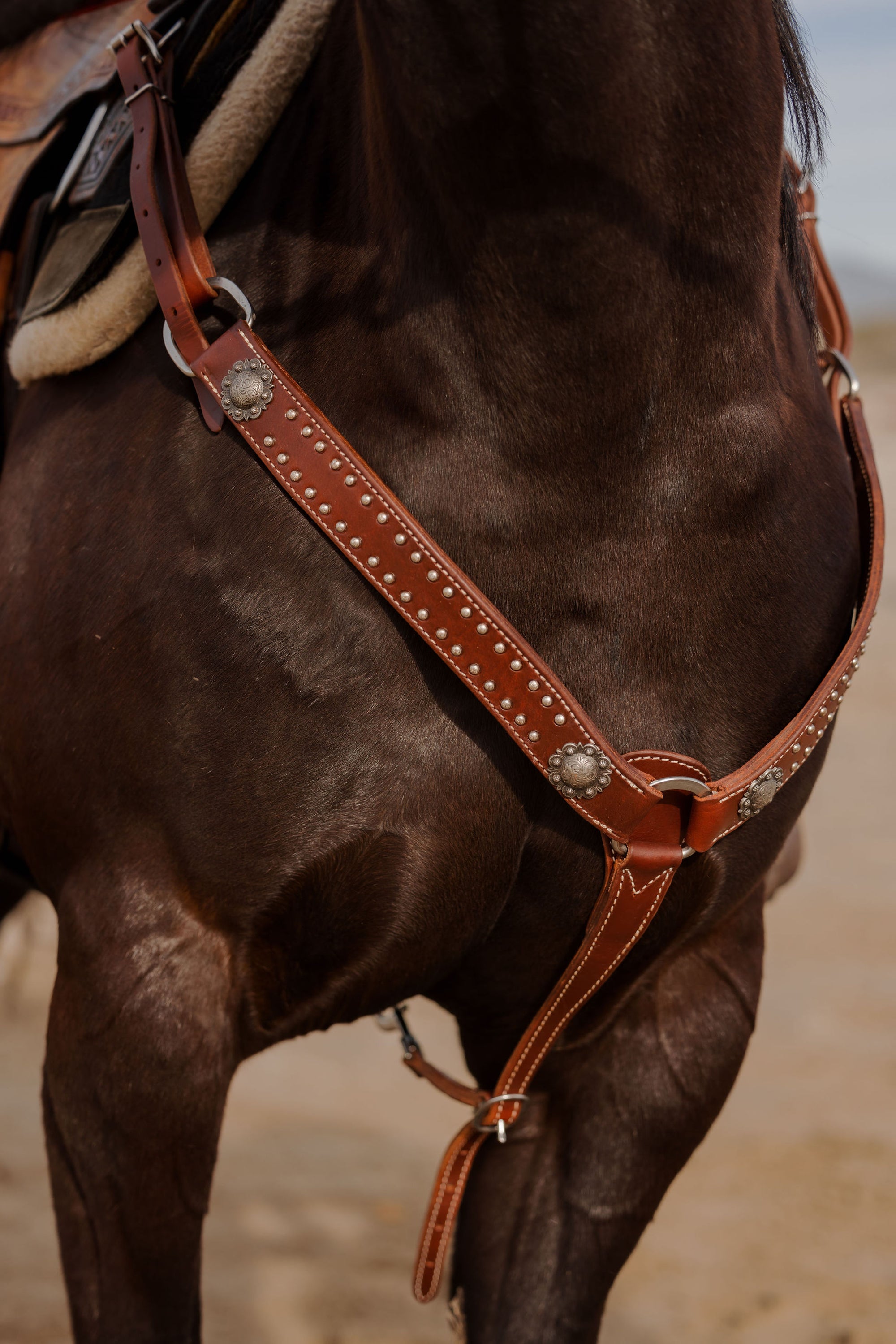 California Dotted Chocolate Harness Breast Collar