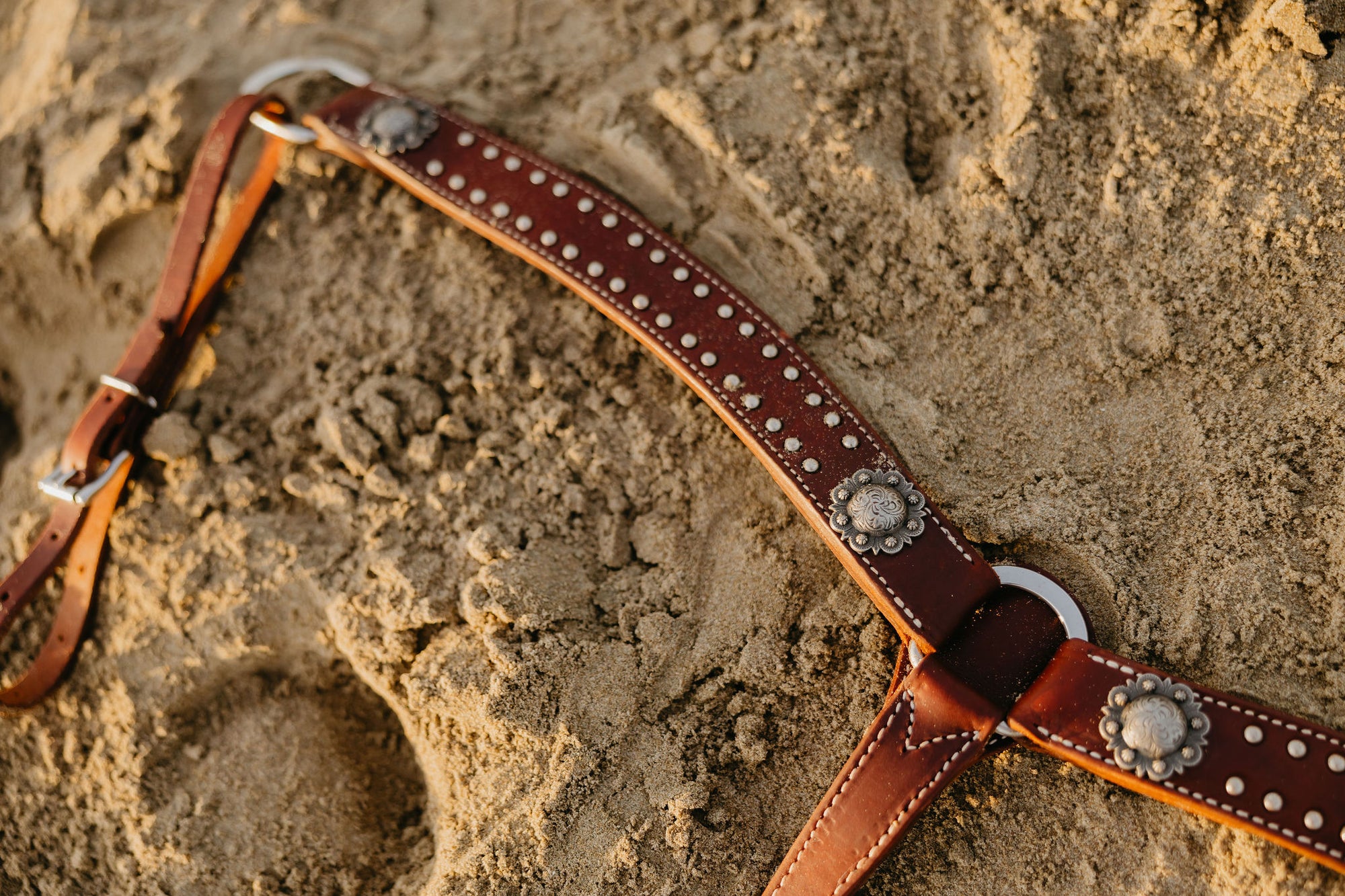 California Dotted Chocolate Harness Breast Collar