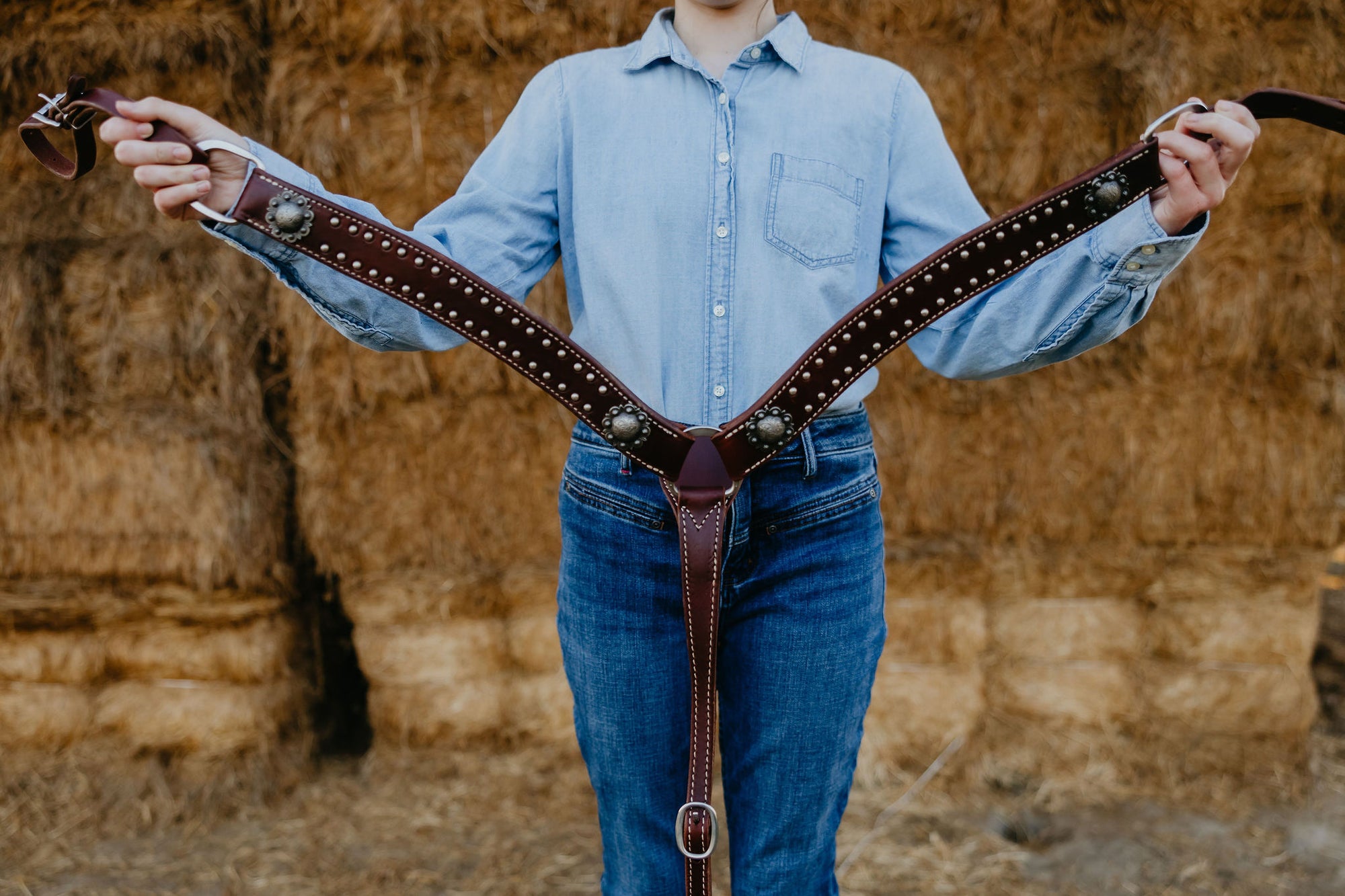 California Dotted Chocolate Harness Breast Collar