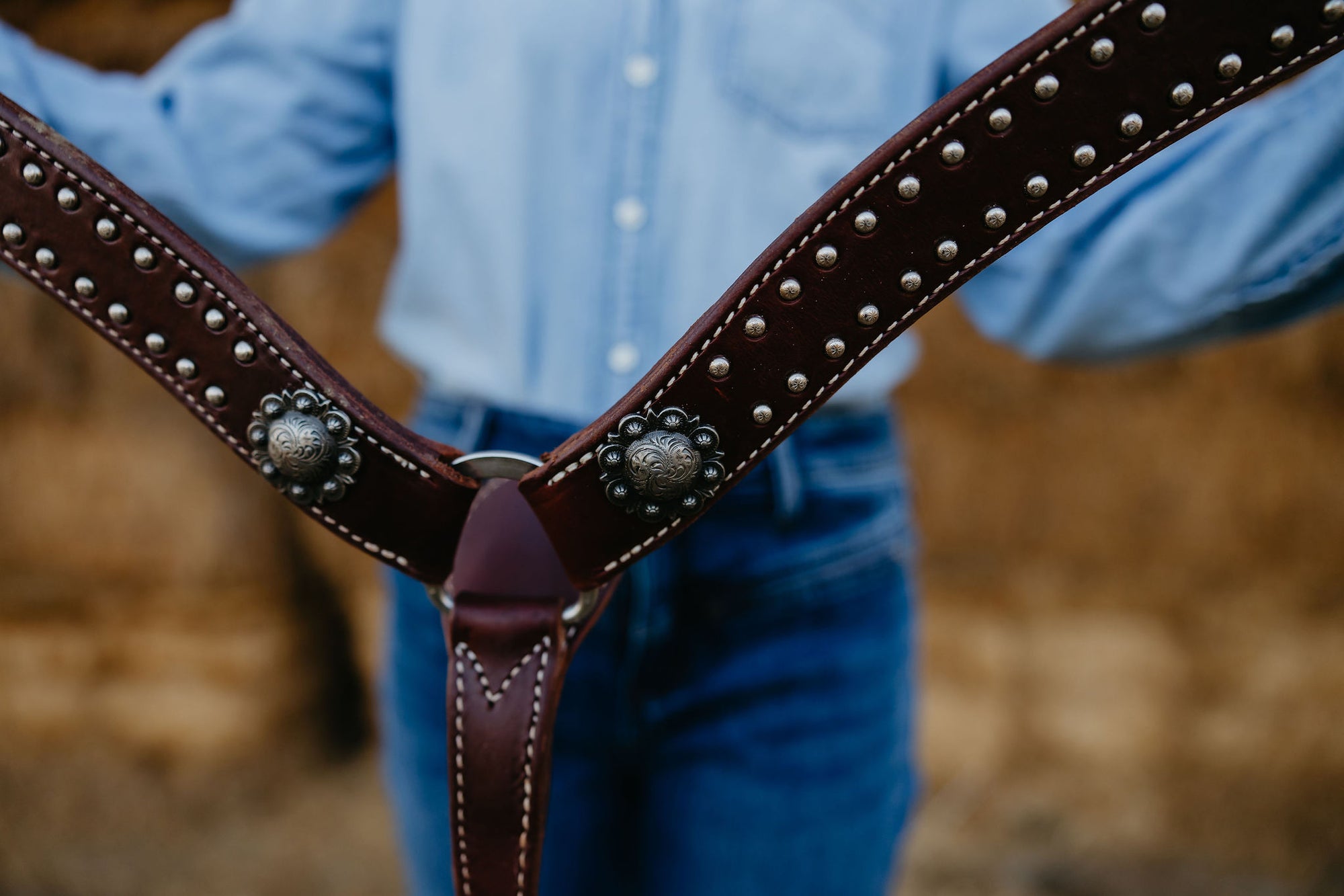 California Dotted Chocolate Harness Breast Collar