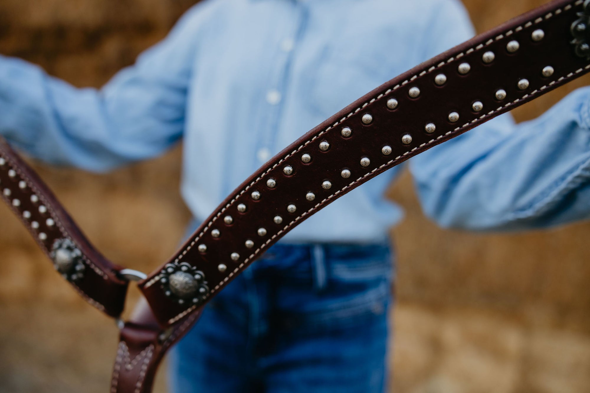 California Dotted Chocolate Harness Breast Collar