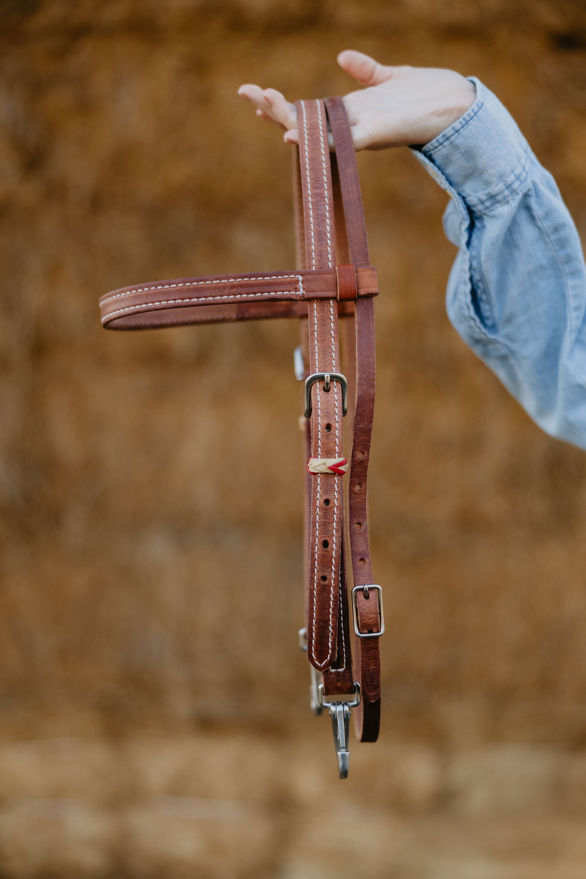 "Cardinal" Futurity Quick Change Training Browband Headstall