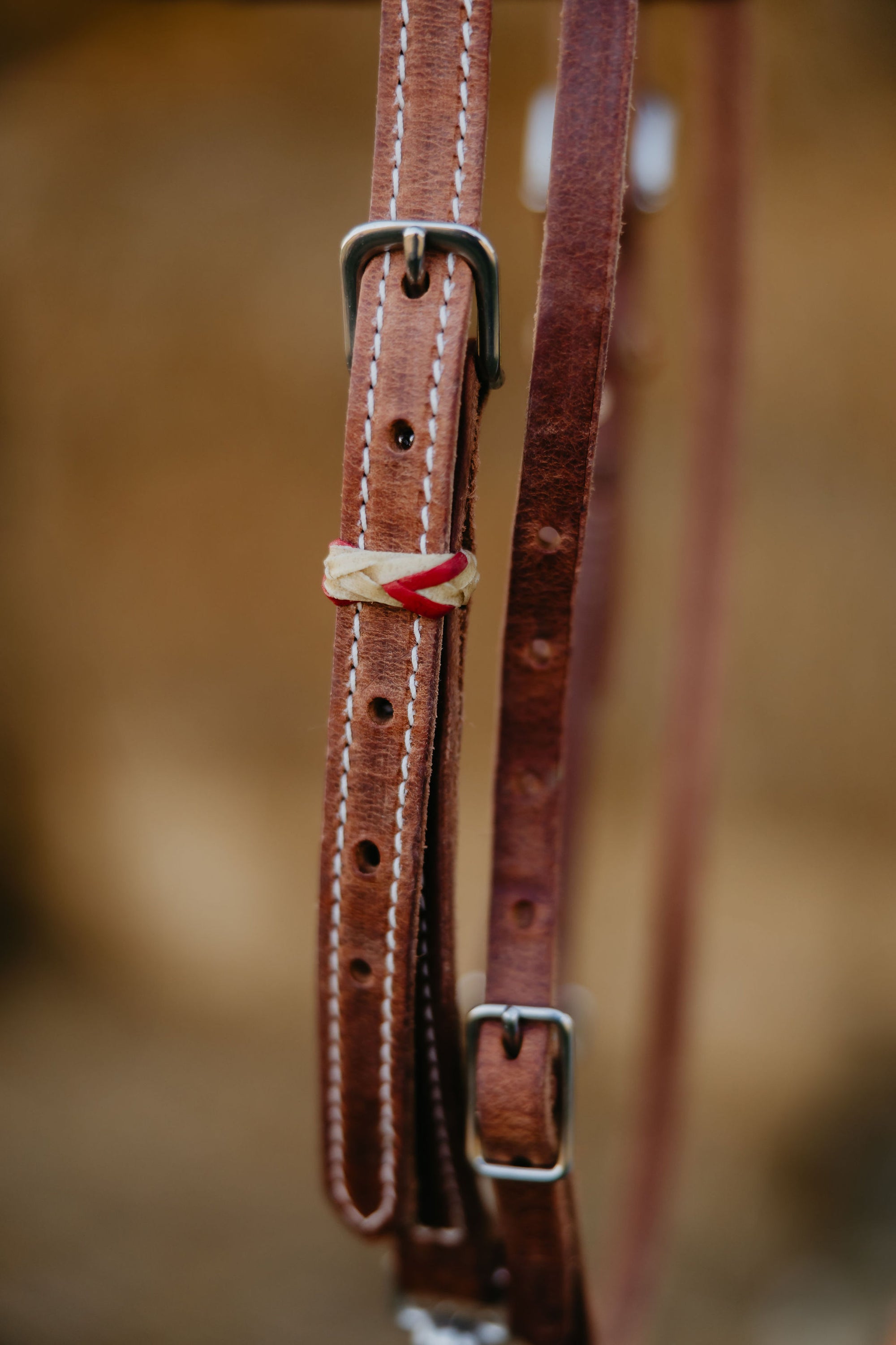 "Cardinal" Futurity Quick Change Training Browband Headstall