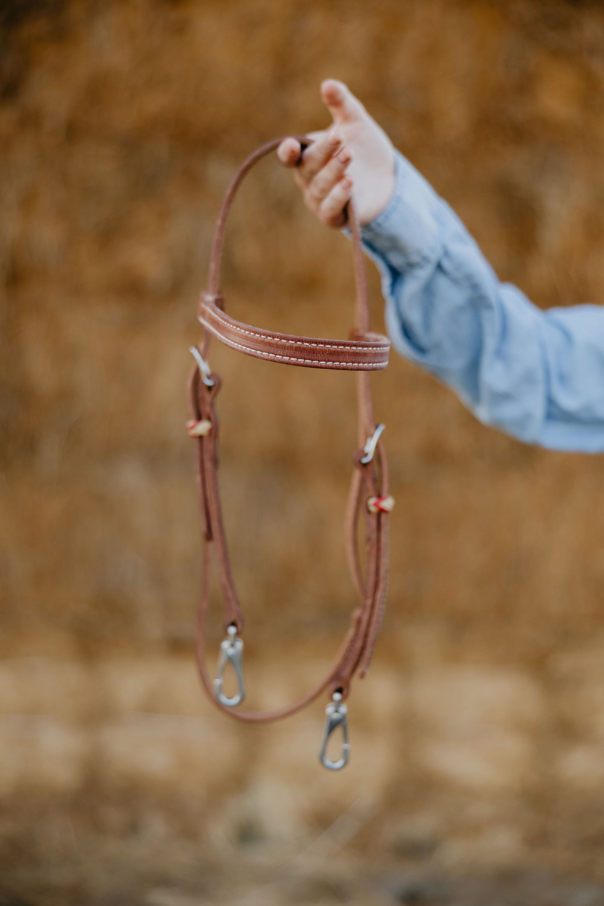 "Cardinal" Futurity Quick Change Training Browband Headstall