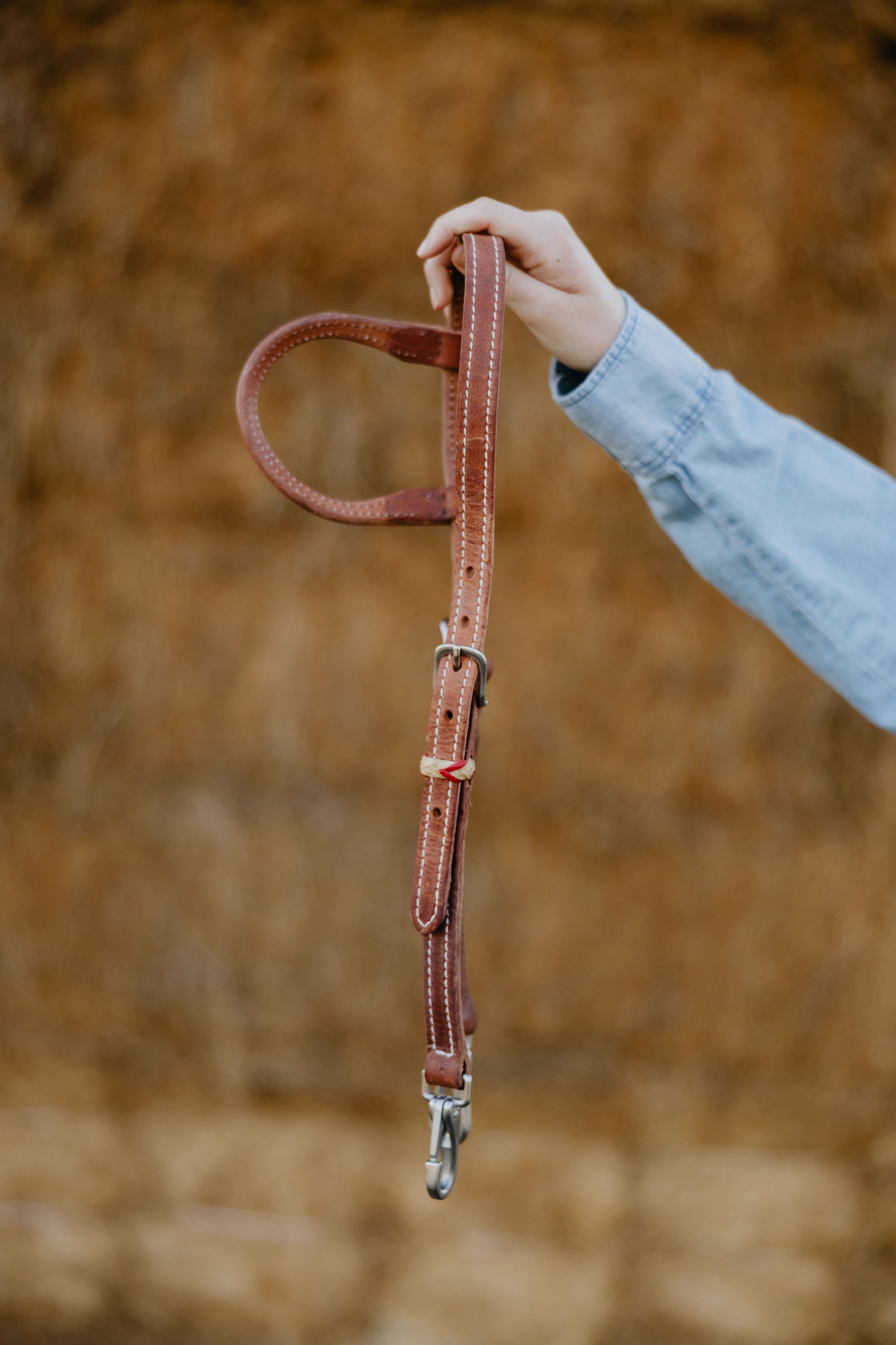 "Cardinal" Futurity Quick Change Training One Ear Headstall