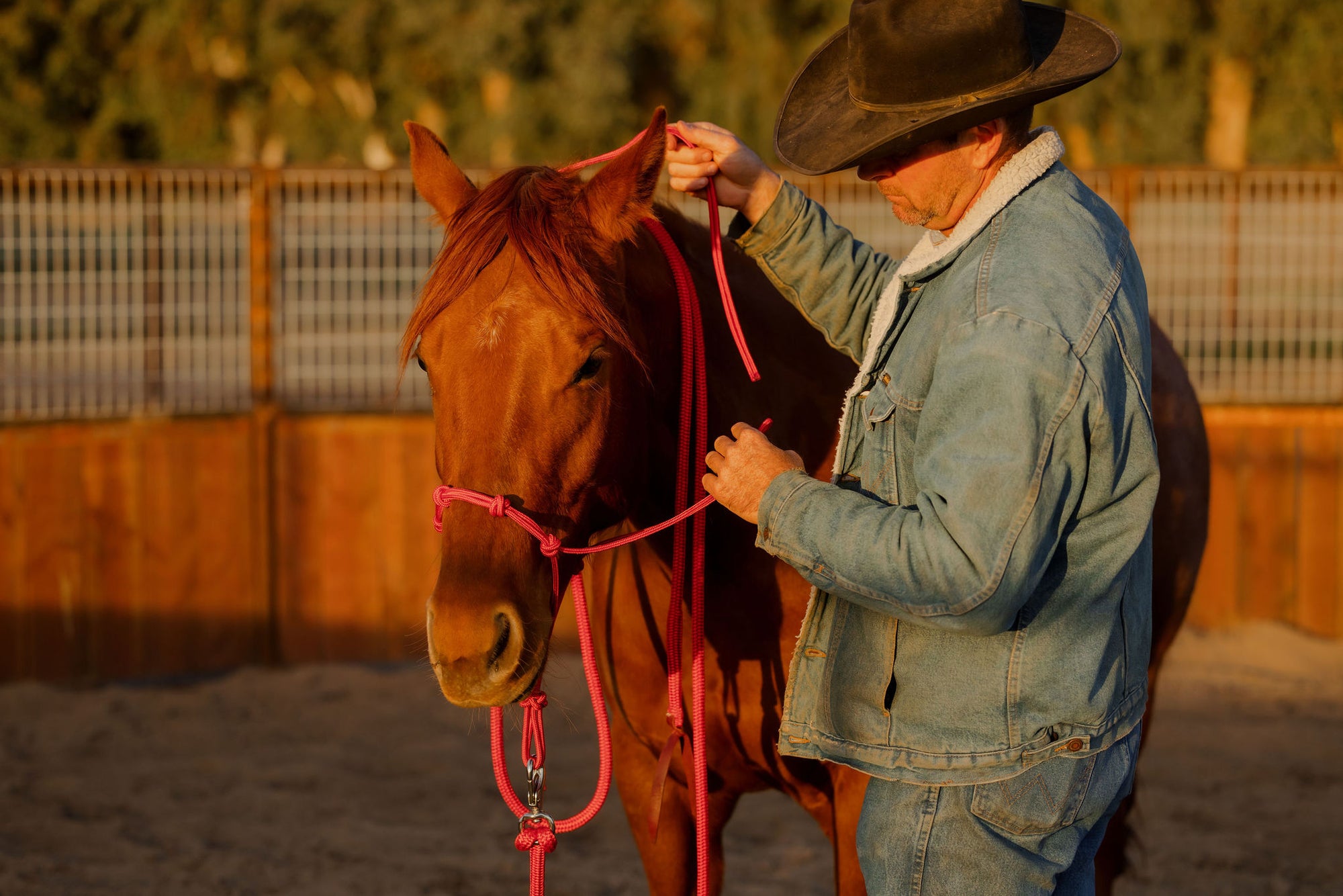 Clinician 4 Knot Halter and 14ft Lead Set