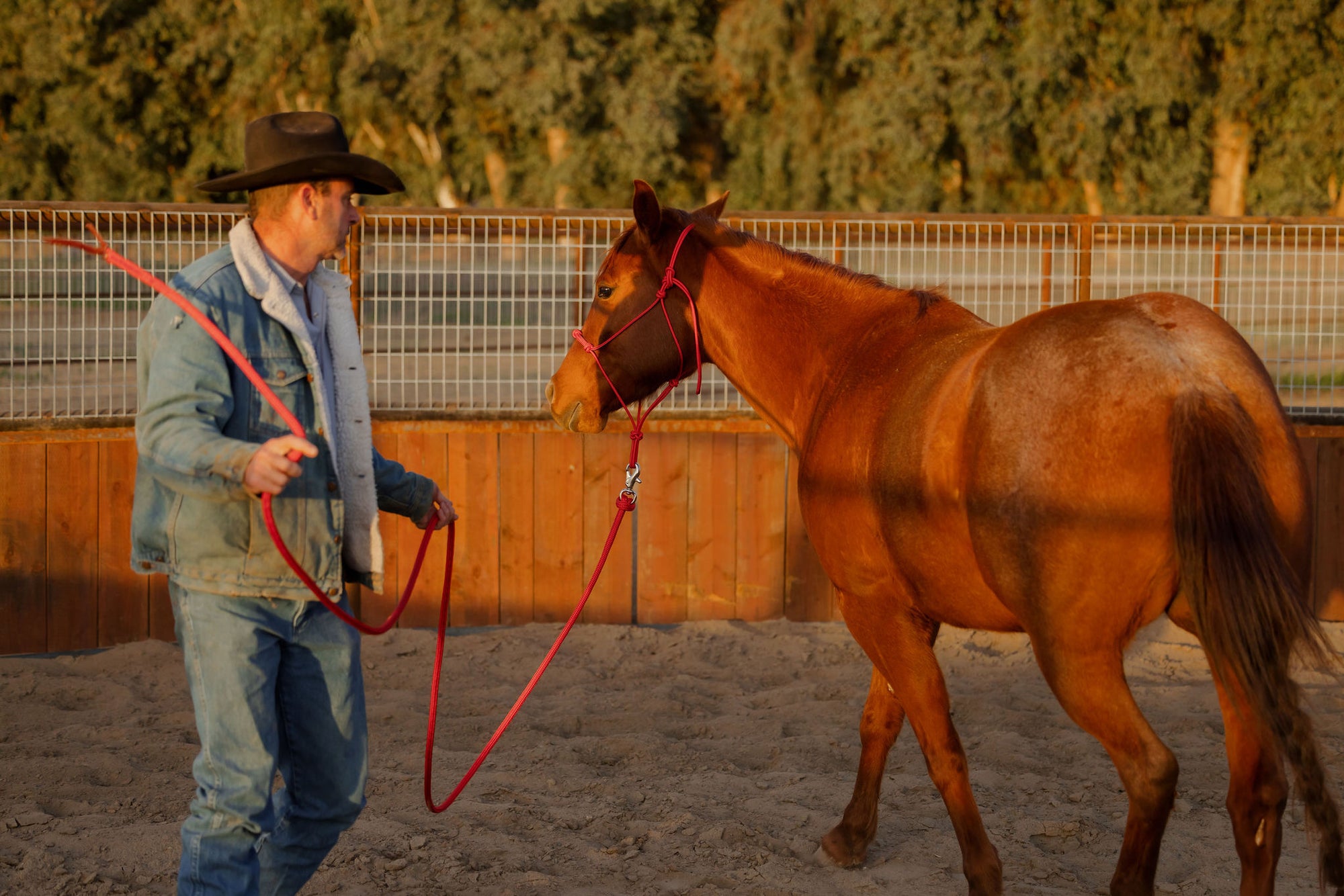 Clinician 4 Knot Halter and 14ft Lead Set