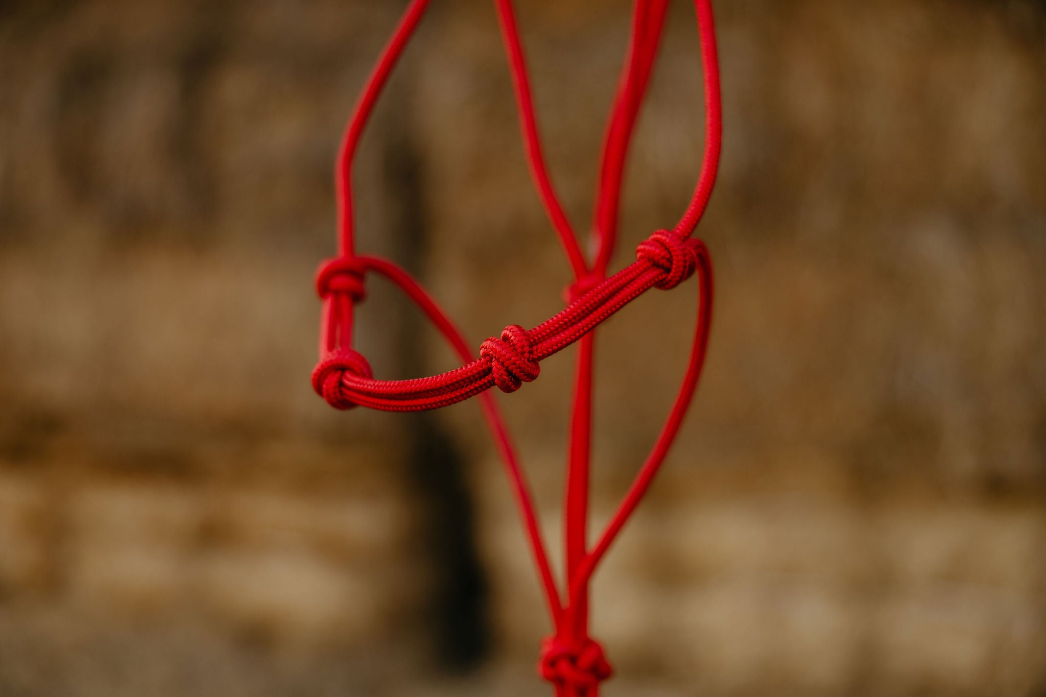 4 Knot Halter and Lead Set, detail 7