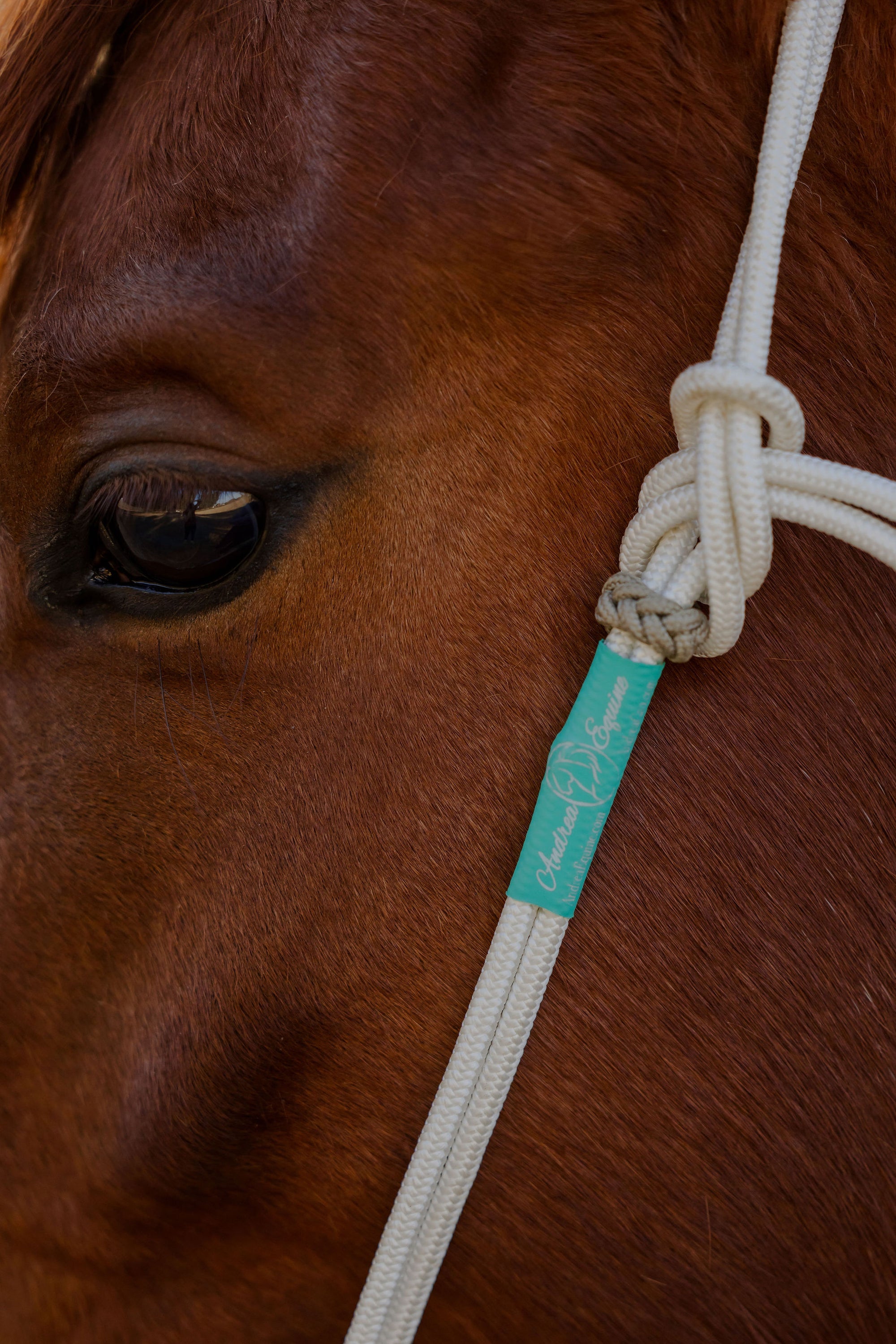 Signature Rope Headstall