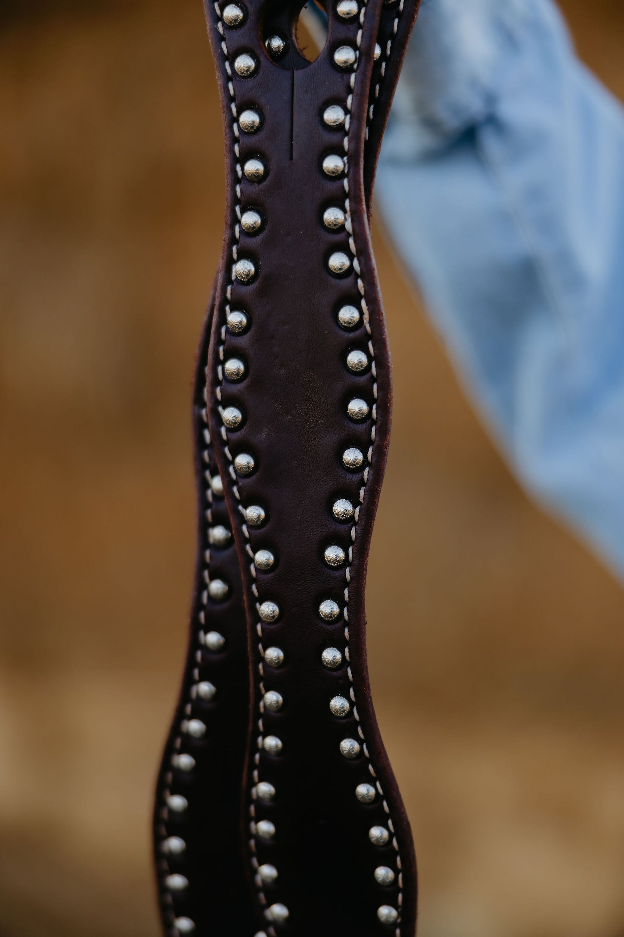 "California" Dotted Chocolate Harness Slobber Straps