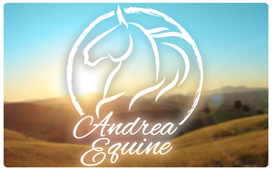 The Gift Card - Andrea Equine