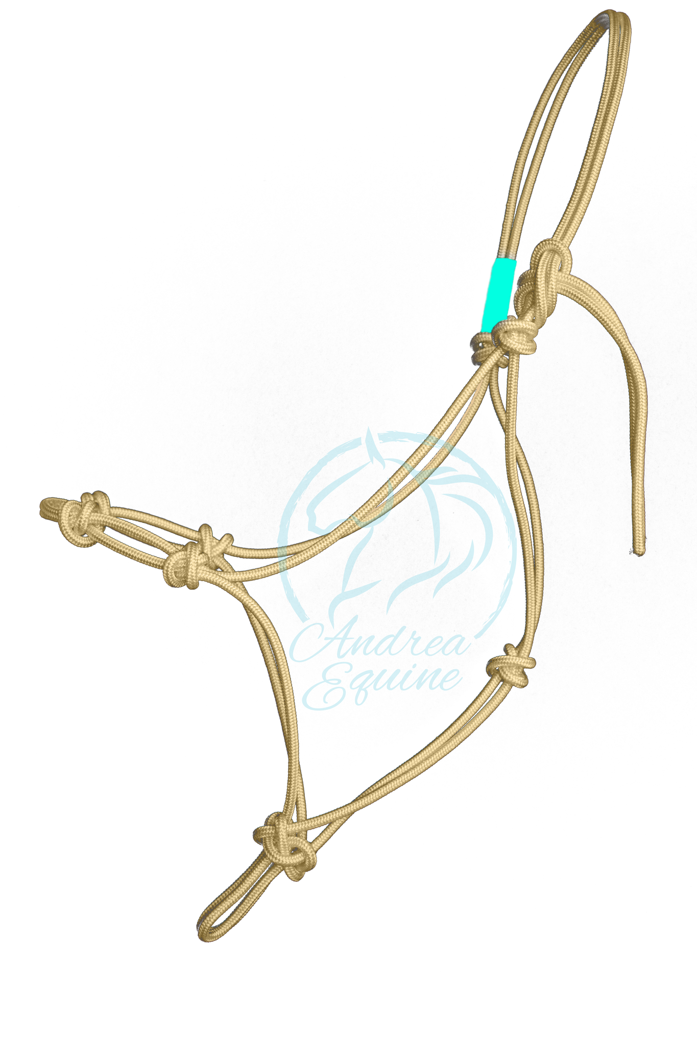 Stiff 4-Knot Clinician Training Halter - Andrea Equine