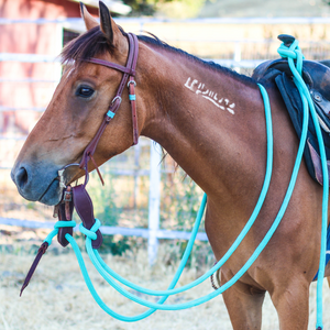 "SLO" Turquoise Mecate Tack Set - Andrea Equine