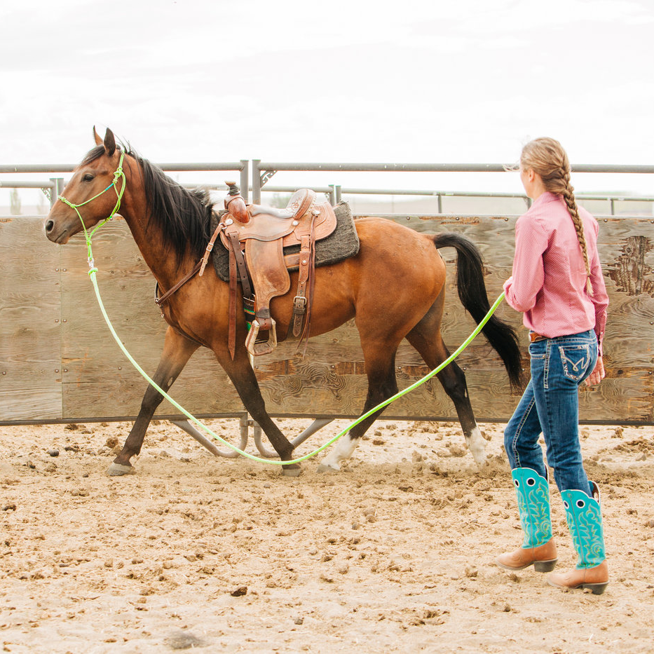 Stiff 4-Knot Clinician Training Halter - Andrea Equine