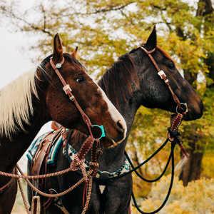 22 Ft Clinician Mecate Reins - Andrea Equine