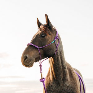 Stiff 4-Knot Clinician Training Halter - Andrea Equine