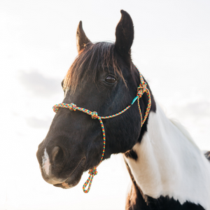 Stiff 4-Knot Clinician Training Halter - Andrea Equine