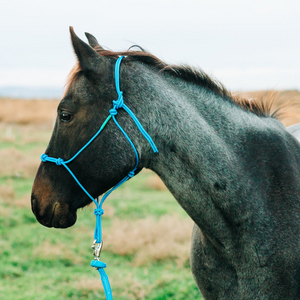 Stiff 4-Knot Clinician Training Halter - Andrea Equine