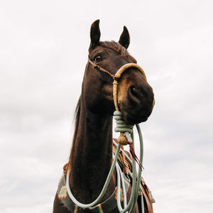 silver gray clinician 22 foot mecate reins clinton anderson