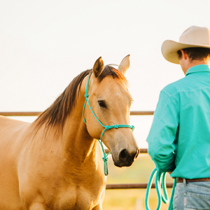 Stiff 4-Knot Clinician Training Halter - Andrea Equine